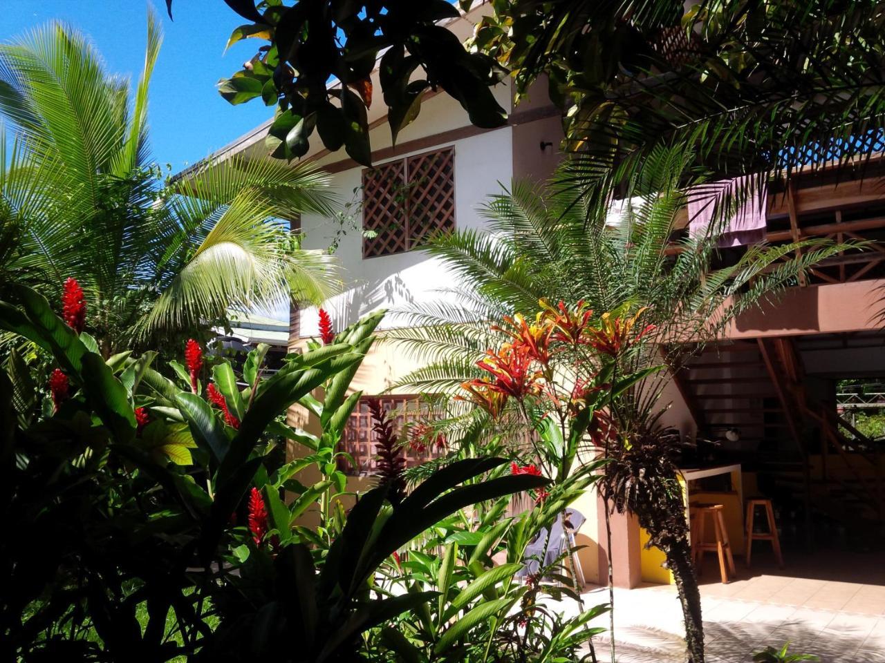 Pagalù Hostel Puerto Viejo de Talamanca Extérieur photo